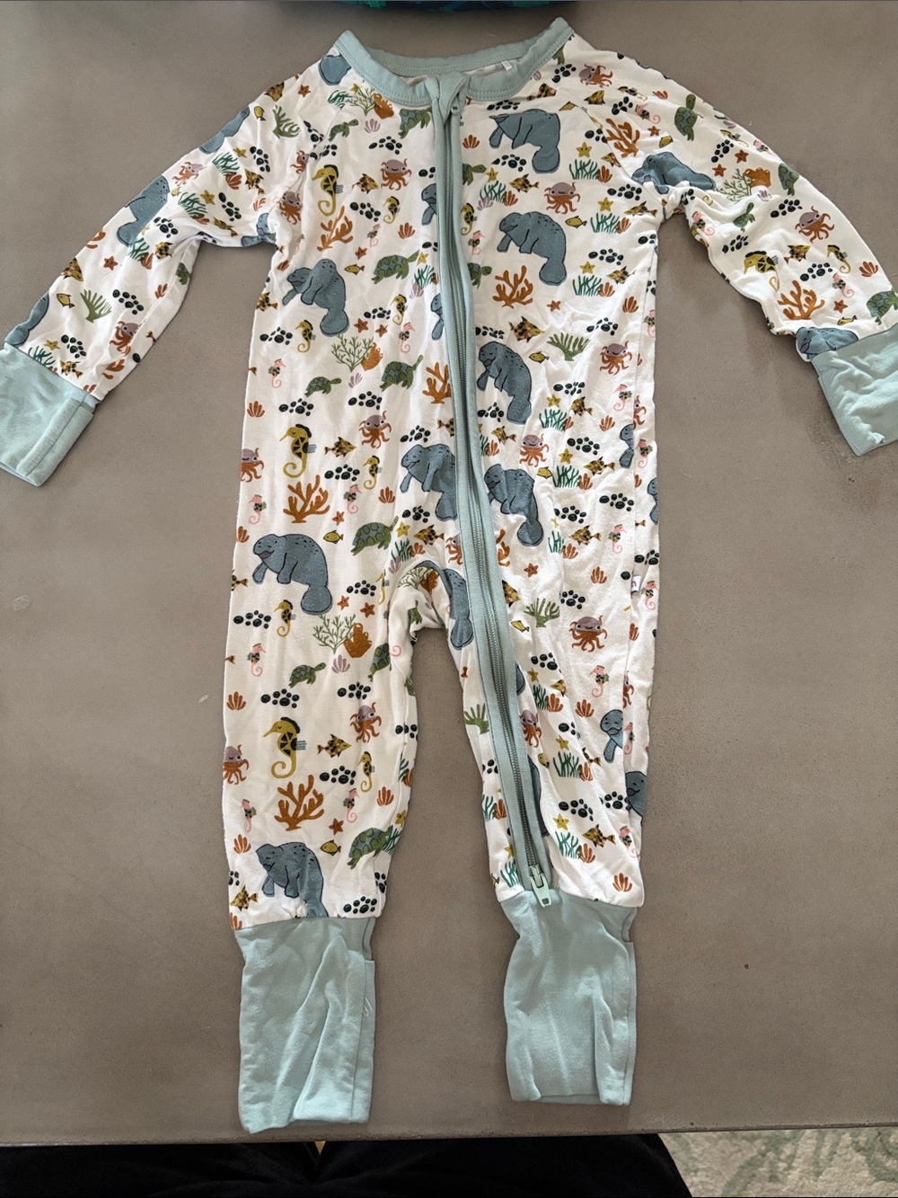 Emerson and Friends Footie PJ’s with Manatee’s